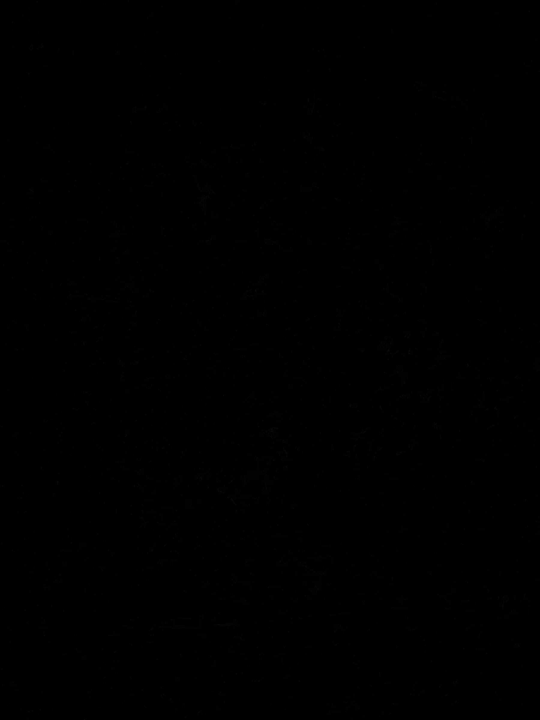 FX1004 Black Americano